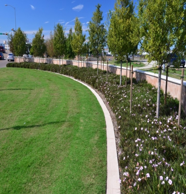 Old Spanish Trail Mobility Improvements to MacGregor Park